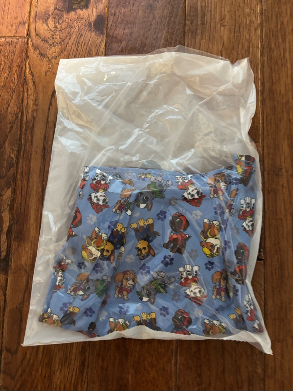 George Hats 5/6 Hybrid Shorts Paw Patrol Character Swim Unlined Swimsuit